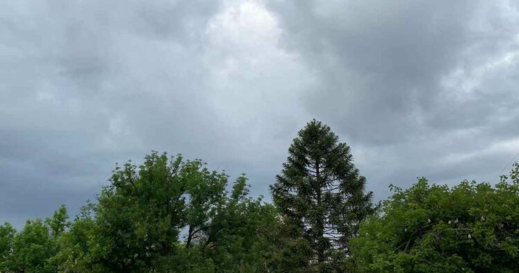 Tormentas, granizo y vientos fuertes: las provincias afectadas según el SMN