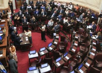El Senado se prepara para rechazar los vetos de Milei en educación y salud