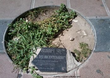 El árbol del bicentenario