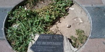 El árbol del bicentenario