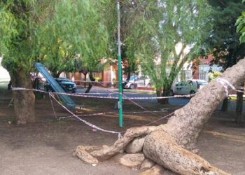 Absolvieron a los municipales acusados por la muerte de un adolescente electrocutado