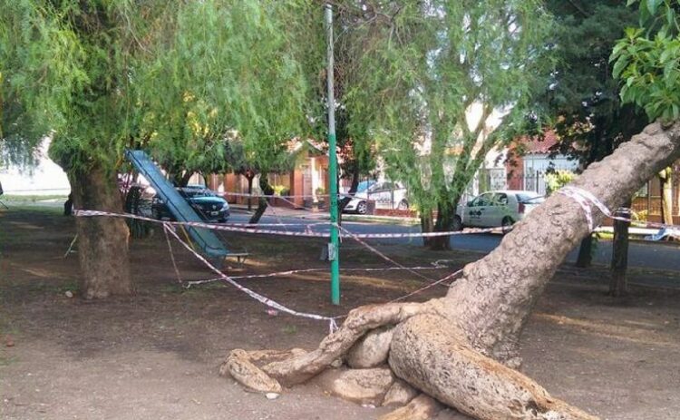 Absolvieron a los municipales acusados por la muerte de un adolescente electrocutado El lamentable hecho sucedió en una plaza de barrio Alto Alberdi.