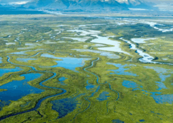 De Córdoba a las Córdovas: un viaje literario que enseña a mirar el mundo