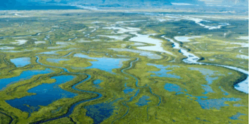 De Córdoba a las Córdobas: un viaje literario que enseña a mirar el mundo De Córdoba a las Córdobas: un viaje literario que enseña a mirar el mundo