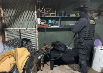 Megaoperativo en la ciudad: 19 detenidos en 30 allanamientos por narcotráfico