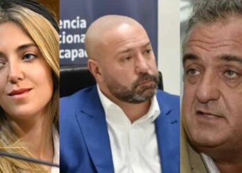 Andis: continúa la investigación con una ronda de indagatorias y una renuncia