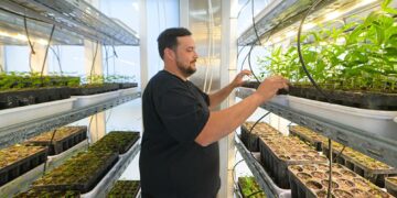 Cinco centros en el interior, junto a la Red Provincial de Viveros, contribuyen a la producción de 100.000 ejemplares para aportar a hombres y mujeres de campo, municipios, escuelas y otras instituciones.