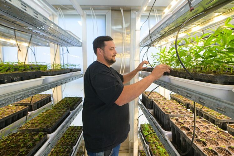 Cinco centros en el interior, junto a la Red Provincial de Viveros, contribuyen a la producción de 100.000 ejemplares para aportar a hombres y mujeres de campo, municipios, escuelas y otras instituciones.