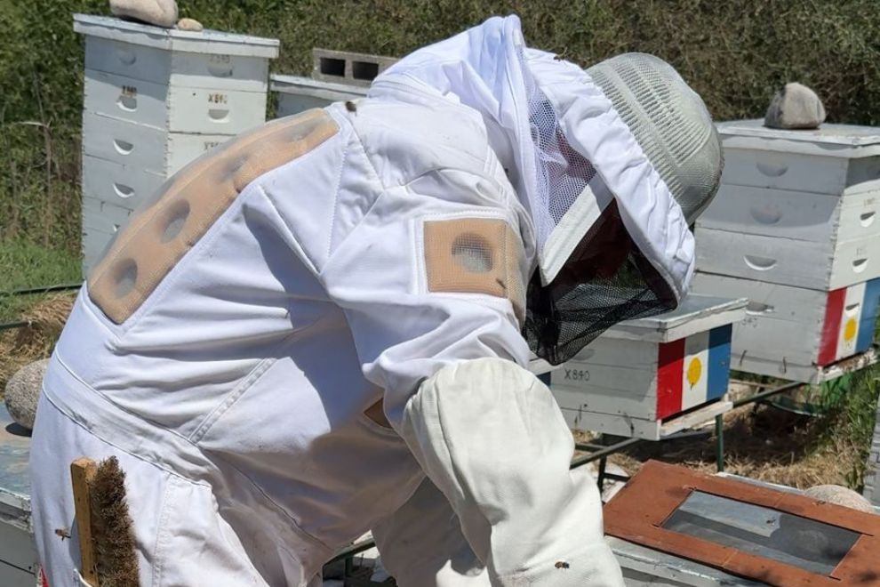 Fueron elegidos los consejeros apícolas 2025–2027 en Córdoba Concluyó el proceso de votación y escrutinio correspondiente a las elecciones de consejeros que integrarán el Consejo Asesor Apícola de la Provincia de Córdoba para el período 2025–2027.