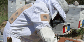 Concluyó el proceso de votación y escrutinio correspondiente a las elecciones de consejeros que integrarán el Consejo Asesor Apícola de la Provincia de Córdoba para el período 2025–2027.