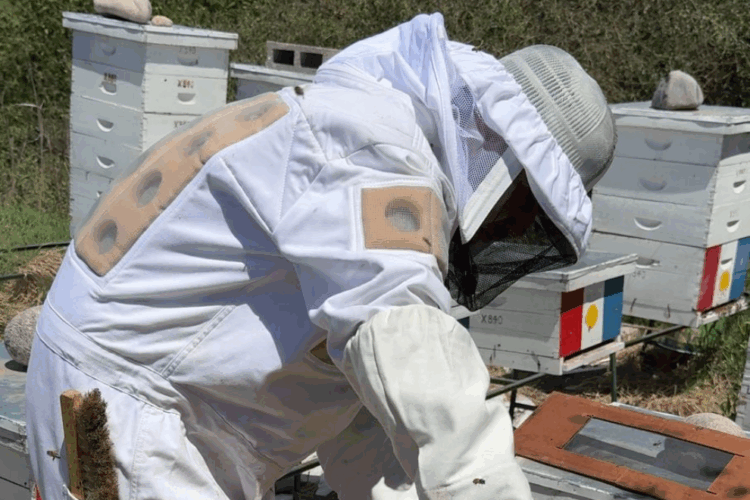 Fueron elegidos los consejeros apícolas 2025–2027 en Córdoba Concluyó el proceso de votación y escrutinio correspondiente a las elecciones de consejeros que integrarán el Consejo Asesor Apícola de la Provincia de Córdoba para el período 2025–2027.