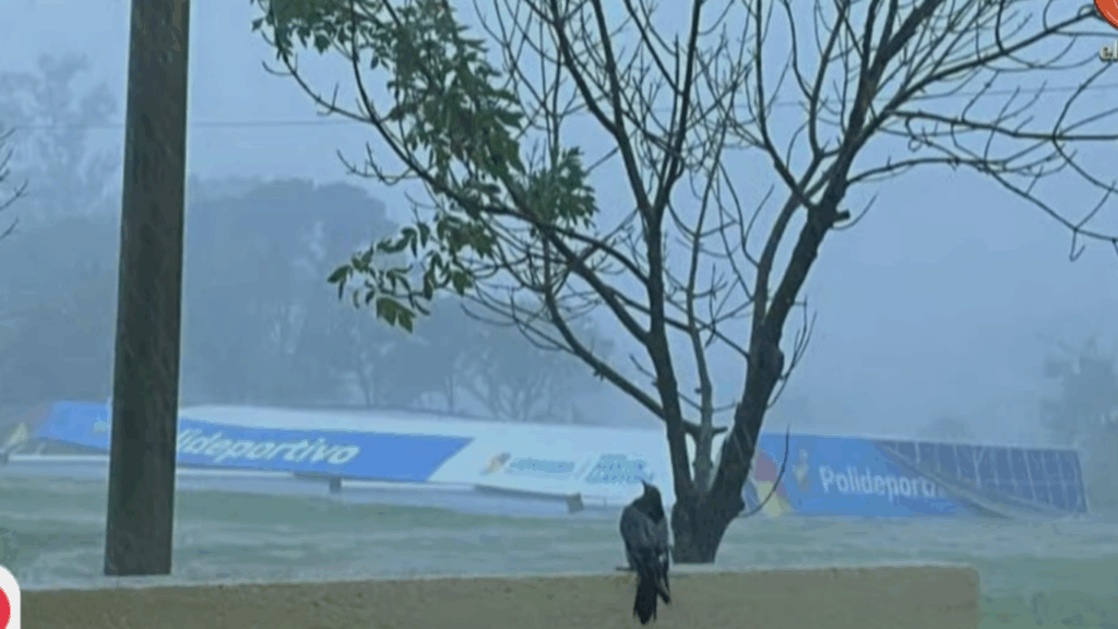 Desarticulan seis fiestas clandestinas en Córdoba con casi 17 mil menores expuestos a graves riesgos