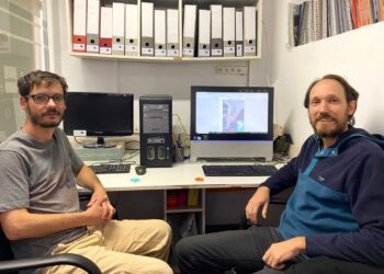 Descubren en Córdoba un linaje genético único de 8.500 años de antigüedad