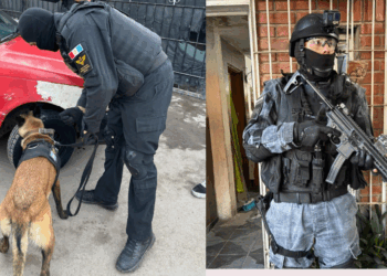 Detienen a una mujer acusada de integrar una organización narco