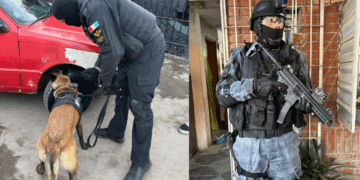 Detienen a una mujer acusada de integrar una organización narco Detienen a una mujer acusada de integrar una organización narco