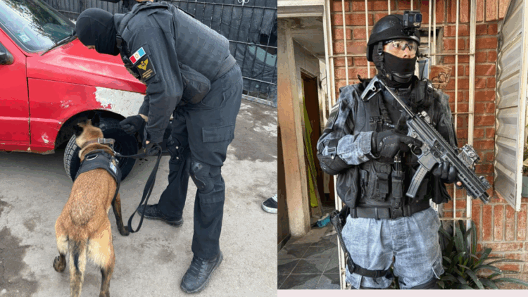 Detienen a una mujer acusada de integrar una organización narco