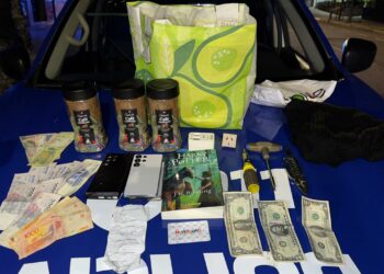 Detuvieron a dos hombres por robar pertenencias de autos en barrio Cofico