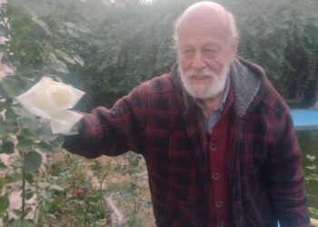 La fuerza transformadora que habita en el silencio