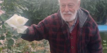 La fuerza transformadora que habita en el silencio