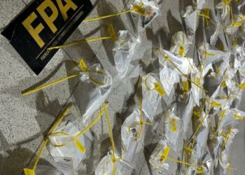 Estupefacientes incautados.