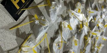 Estupefacientes incautados.