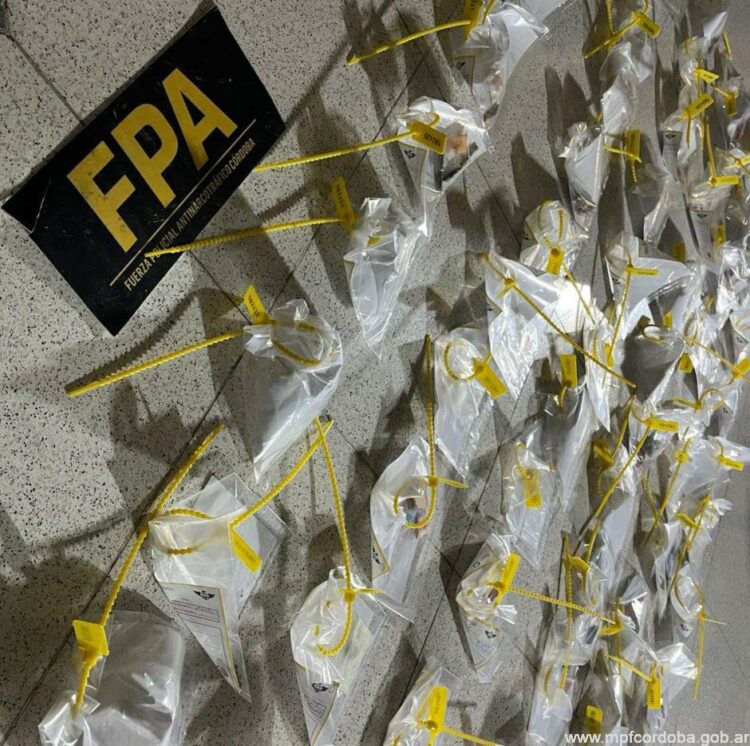 Secuestraron cocaína, tussi, MDMA, éxtasis, LSD y marihuana en una fiesta electrónica Estupefacientes incautados.