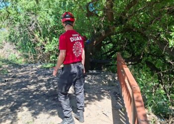 Identificaron a la mujer que encontraron desmembrada en barrio General Urquiza