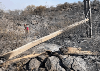 Imputan al ex presidente de una cooperativa por uno de los peores incendios del 2024