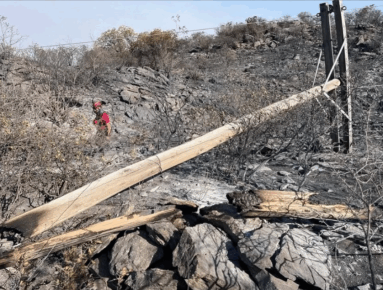 (Gentileza: La Otra Mirada).