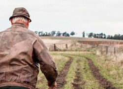 Historias, melodías y grandes emociones llegan al Cineclub