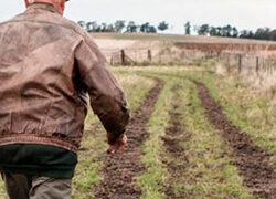 Historias, melodías y grandes emociones llegan al Cineclub Historias, melodías y grandes emociones llegan al Cineclub