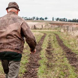 Historias, melodías y grandes emociones llegan al Cineclub