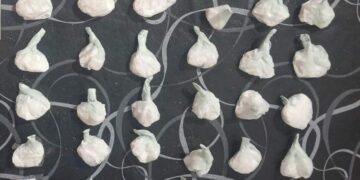 La Policía Caminera incautó más de 71 kilos de drogas desde 2024 La Policía Caminera incautó más de 71 kilos de drogas desde 2024