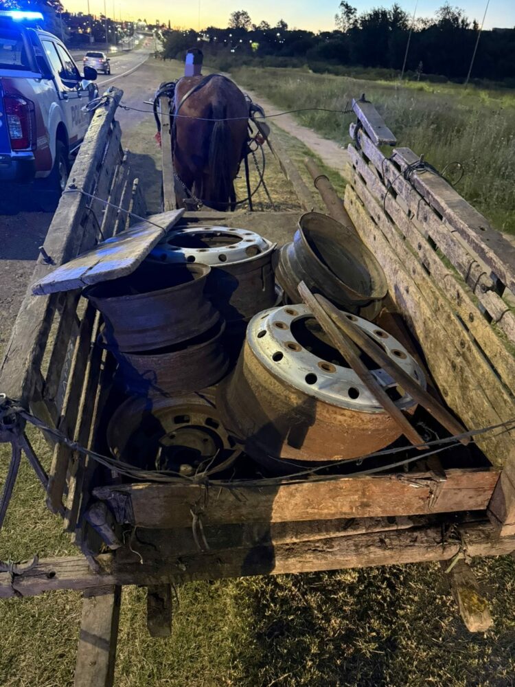 Llevaba nueva llantas robadas y terminó detenido El animal quedó bajo resguardo y el carro utilizado para el traslado fue secuestrado como parte del procedimiento.