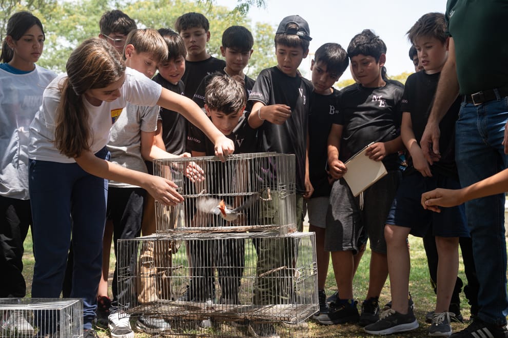 Liberaron 37 animales rescatados del tráfico ilegal y el mascotismo