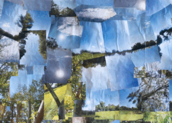 Muestra “Todas y todos somos ambiente” en el Centro Cultural UNC