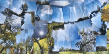 Muestra “Todas y todos somos ambiente” en el Centro Cultural UNC