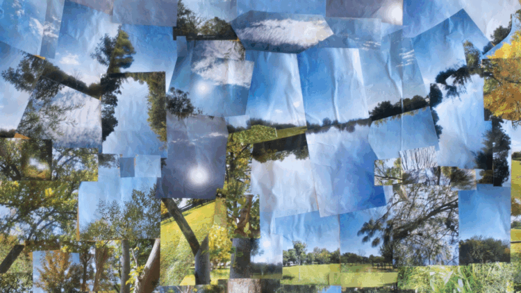 Fragmento del banner de 5 X 4 mts., realizado con collage de fotos realizado en los talleres de fotografía.  El collage forma un paisaje natural y será parte central de la exhibición. Foto: Apadim.