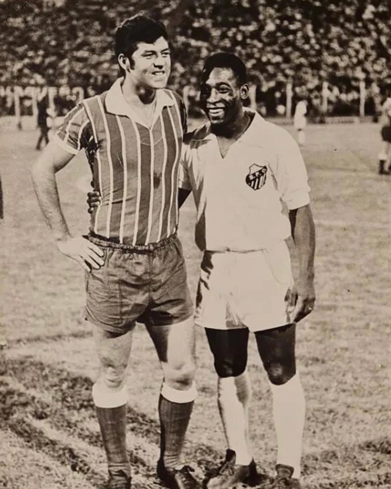 Murió Daniel Willington, histórica figura de Talleres y emblema del fútbol argentino