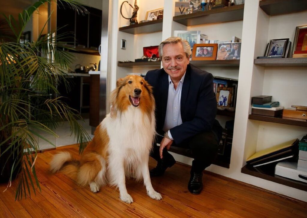 Murió Dylan, el perro de Alberto Fernández: “Ahora correrás en algún paraíso” Dylan