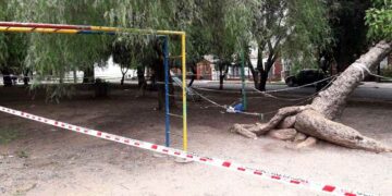 Pidieron condenas para los empleados municipales por la muerte de un adolescente electrocutado Pidieron condenas para los empleados municipales por la muerte de un adolescente electrocutado