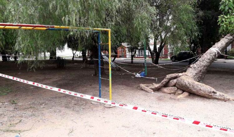 Pidieron condenas para los empleados municipales por la muerte de un adolescente electrocutado Pidieron condenas para los empleados municipales por la muerte de un adolescente electrocutado