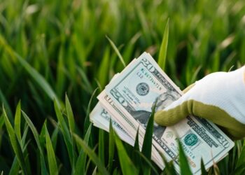 Prevén una caída del ingreso de dólares del agro en el primer trimestre de 2026