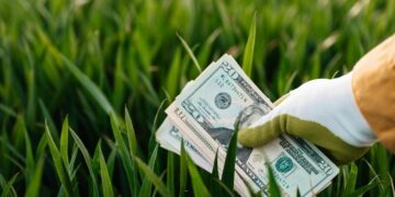 Prevén una caída del ingreso de dólares del agro en el primer trimestre de 2026 Prevén una caída del ingreso de dólares del agro en el primer trimestre de 2026