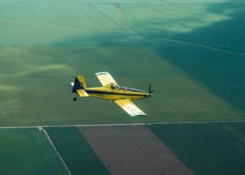 Se recuerda que está prohibido encender fuego y se pide dar aviso a las autoridades ante la presencia de una columna de humo o inicio de incendio.