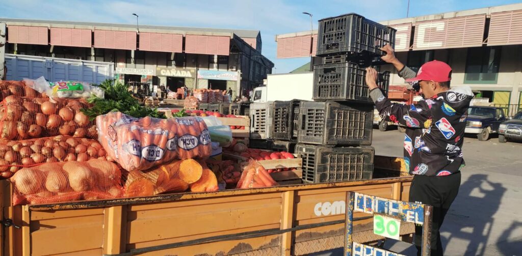 Son los resultados del «Estudio interdisciplinario de la economía popular en la provincia de Córdoba», realizado por investigadores del Idacor (UNC-Conicet) en colaboración con la UNRC.