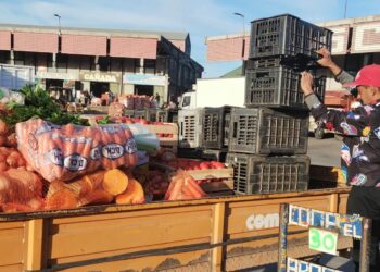 Son los resultados del «Estudio interdisciplinario de la economía popular en la provincia de Córdoba», realizado por investigadores del Idacor (UNC-Conicet) en colaboración con la UNRC.