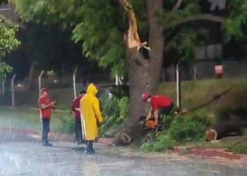 Defensa Civil asistió 91 solicitudes durante la tormenta