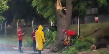 Defensa Civil asistió 91 solicitudes durante la tormenta Defensa Civil asistió 91 solicitudes durante la tormenta