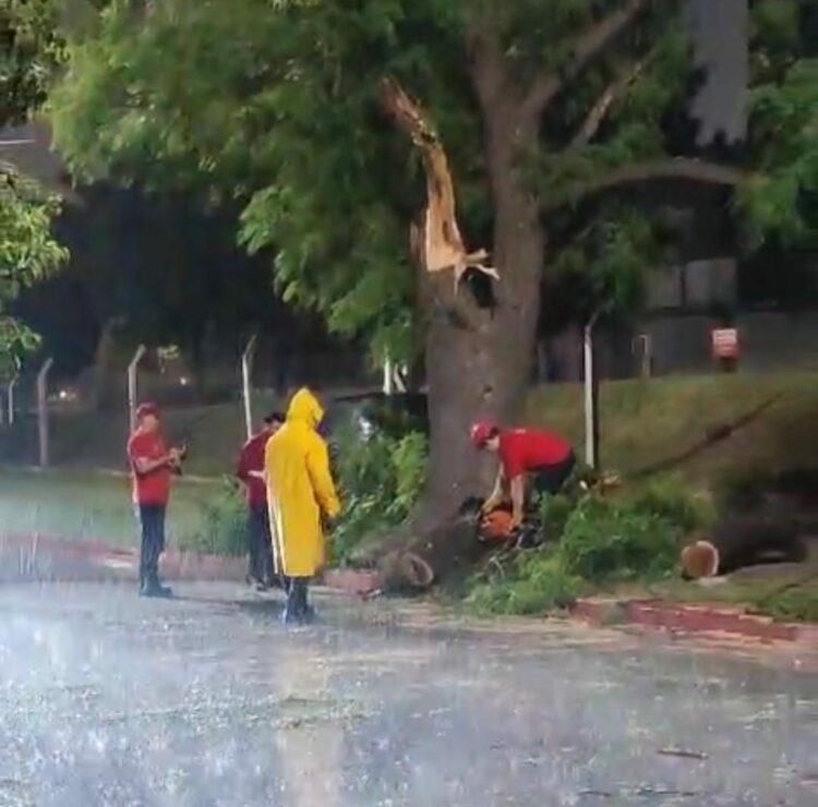 Defensa Civil asistió 91 solicitudes durante la tormenta La tormenta registrada anoche dejó un impacto leve en la ciudad, con 91 pedidos de asistencia.